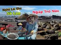 Download Lagu Ngập trổ nóc chị lái ghe Sà Lan 24/24 - Biên giới Campuchia cá đổ đống nhiều hơn rau cải