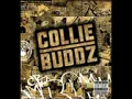 collie buddz- movin on (LYRICS IN DESCRIPTION)