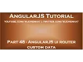 AngularJS ui router custom data