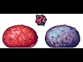 How to instantly kill Slime God Terraria Calamity