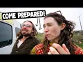 Download Lagu Anglesey Is WILD! We Weren't Prepared For THIS! | Van Life WALES