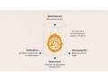 Understanding Consumer Purchase Decisions