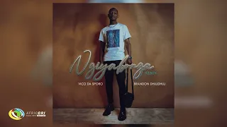 vico da sporo ngiyabonga revisit feat brandon dhludhlu official audio 