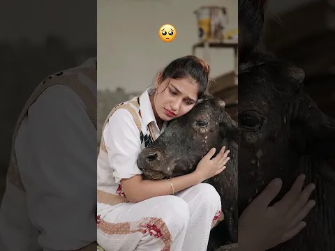 This Cow Was Worth Saving… 💔#minivlog #minivlogshorts #Cowlover