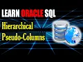 Learn Oracle SQL Hierarchical Pseudo-Columns