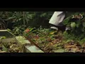 Download Lagu LAGU SEDIH TENTANG IBU || YAA ALLAH LAPANGKAN KUBUR IBUKU ||