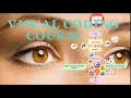 Flowgorithm Flowgorithm Course Benefits Flowchart Tutorials for beginners