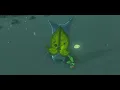 Korok Rock Circle Cheat Tears of the Kingdom