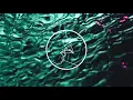 lucky daye - shoulda ft. babyface (slowed + reverb)