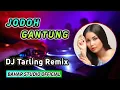 Download Lagu JODOH GANTUNG - DIAN ANIC // DJ TARLING REMIX