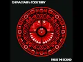 This Is The Sound - Riva Starr & Todd Terry