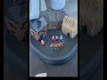 Let s make 3 little pigs play