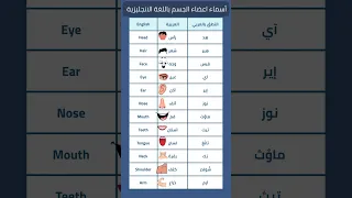أسماء اعضاء الجسم باللغة الانجليزية 