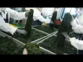 Lagu 한번은 드셔봤을 겁니다! 한해 100톤 생산하는 기장미역 대량생산 / Salted seaweed mass production factory