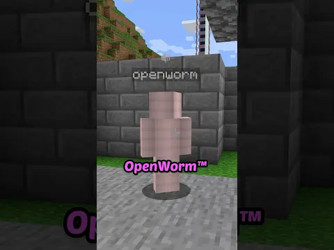 I found a new minecraft mob...?