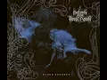 Download Lagu WOLVES IN THE THRONE ROOM - Black Cascade (Official Audio)