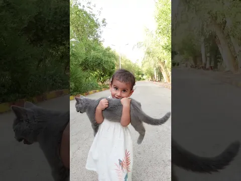 She Thought She’d Lost Her Cat Forever… 💔