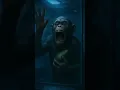 Download Lagu The History Of Abonono Schimpazinono 🐵🥑 #memes #shorts