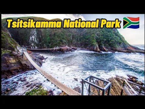 Download MP3 A place you MUST visit in your lifetime | Tsitsikamma!!! 🇿🇦  #gardenroute #naturevalley