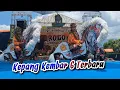 Download Lagu KEPANG KEMBAR 6 TERBARU - Jaranan ROGO SAMBOYO PUTRO | Purut Banyakan Kediri