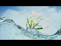 Brian Crain - Water