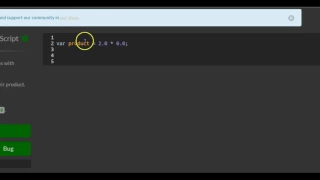 Multiply Two Decimals with Javascript freeCodeCamp Basic Javascript