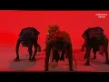 Koffi Olomide - Héros National (Clip Officiel)