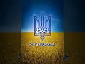 Арсен Мірзоян-моя Країна