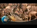 Download The most dangerous moments - When film makers risk their lives mp4 3gp mp3 videos - waplic