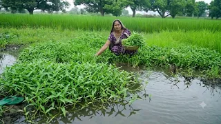 नारी का साग और बेसन की प्रोटीन रोटी मिल जाए तो सेहत बन जाए Karemua ki sabji