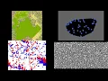 Simple Simulations with PyGame