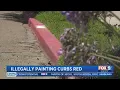 La Jolla Curb Illegally Painted Red To Deter Parking Near Beach