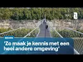 Wandelbrug over kloof bij Kanne: niks vergelijkbaars in een straal van 200 km  | L1 Nieuws