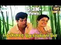 Lagu தென்னமர தோப்புக்குள்ளே குயிலே|Thennamara Thopukule Duet |  S.Janaki, S P B,Love Duet H D Song