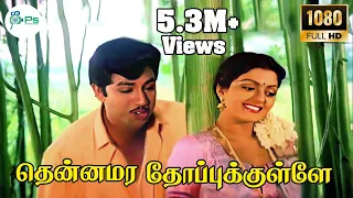  thennamara thopukule duet s janaki s p b love duet h d song