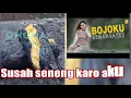 Download Lagu BOJOKU SEMANGATKU LIRIK | VITA ALVIA |
