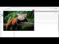 OpenCV Python Read Image and Show