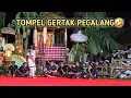Download Lagu Sing maen-maen mule wanen jro tompel, monto bek,ne pecalang sing takut🤣 clekontong mas lucu