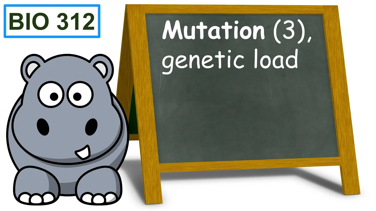 Mutation (3), genetic load.