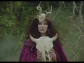 Tele Novella - The Unicorn (Official Music Video)