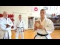 Download Lagu Bubishi: The Bible of Karate (Kata Bunkai)