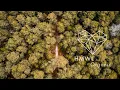 Download Lagu Jakhira \u0026 Modulo - Rimbu (Harmonious Remix) [Organic House 2023 / A Soul On Board]