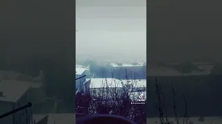 Троянди для доньки україна Shorts 