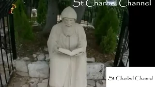                                   يا راكع عتل ي   عبير نعمه دندنها