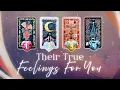 How They’re Currently Feeling About You 🎃🖤 Pick a Card Timeless In-Depth Love Tarot Reading
