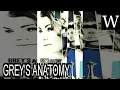 GREY S ANATOMY season 14 - WikiVidi Documentary