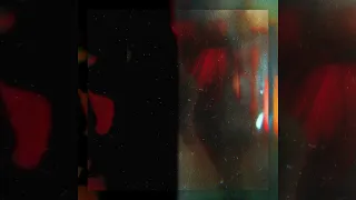 Daniel Di Angelo Lose Face 