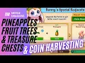 Fruit Trees Pineapples Treasure Chests Coin Harvesting What Merge Dragons Level For The Portal