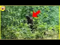 Download Lagu 10 Mysterieuze Jungle Ontdekkingen die je Niet had Mogen Zien