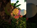 Download Lagu Balonku ada lima